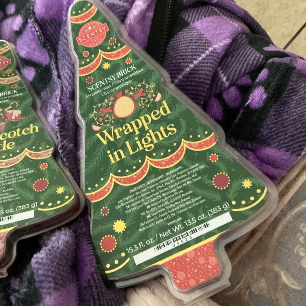 Scentsy Wrapped in Lights Green and Red Bath Brick